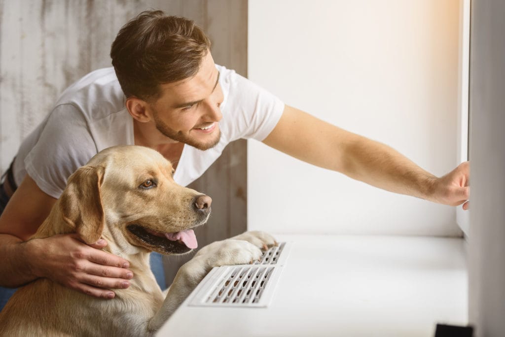 Hund genießt das gute Wetter draußen in Villach